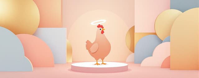 偶像鸡/idol chicken