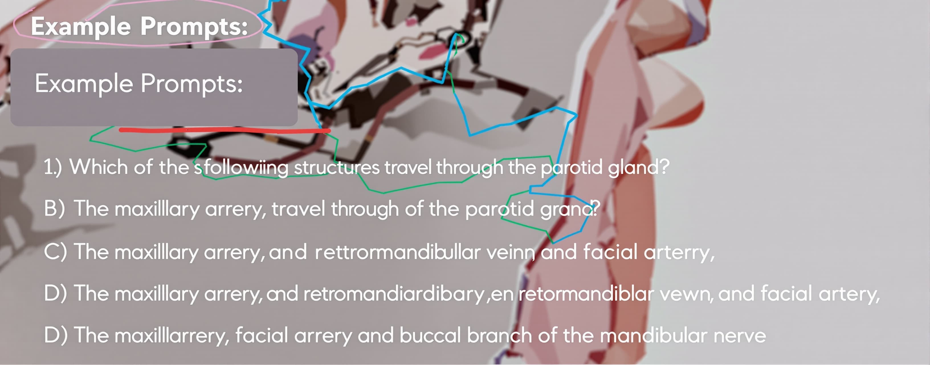 Which of the following structures travel through the substan...