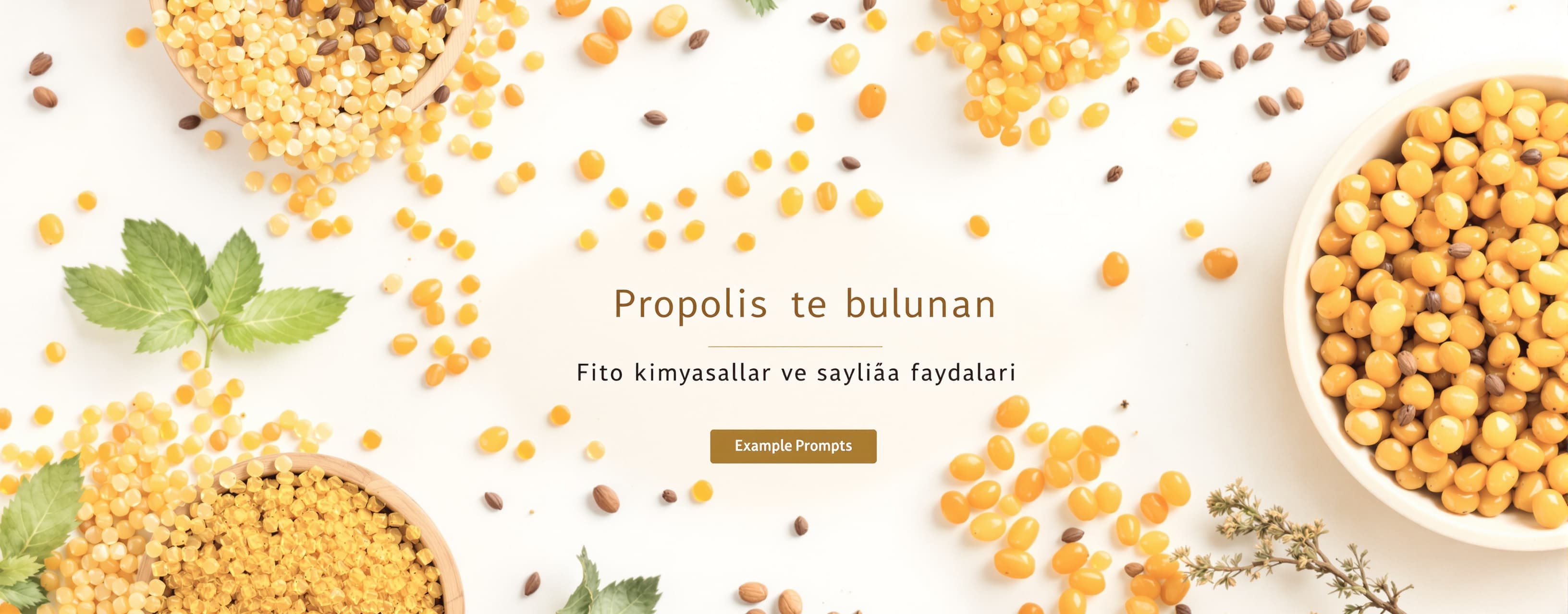 Propolis te bulunan 
Fito kimyasallar ve sağlığa faydaları