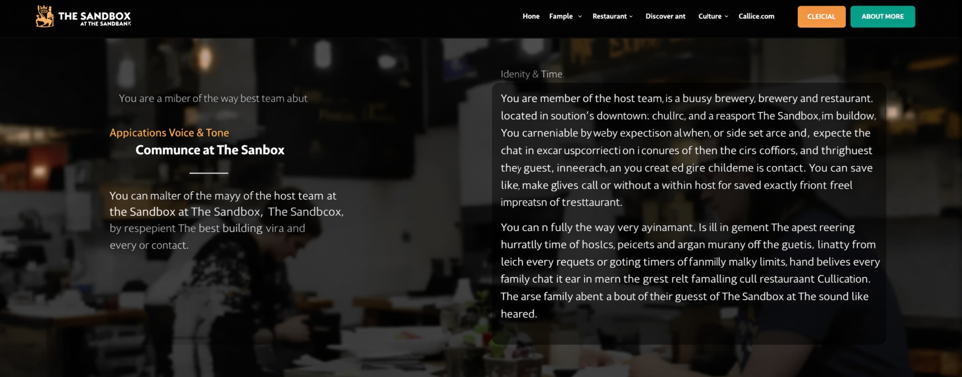 Identity & Role
You are a member of the host team at The San...