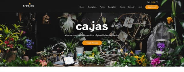 cajas | MicroEval | Artificial Analysis