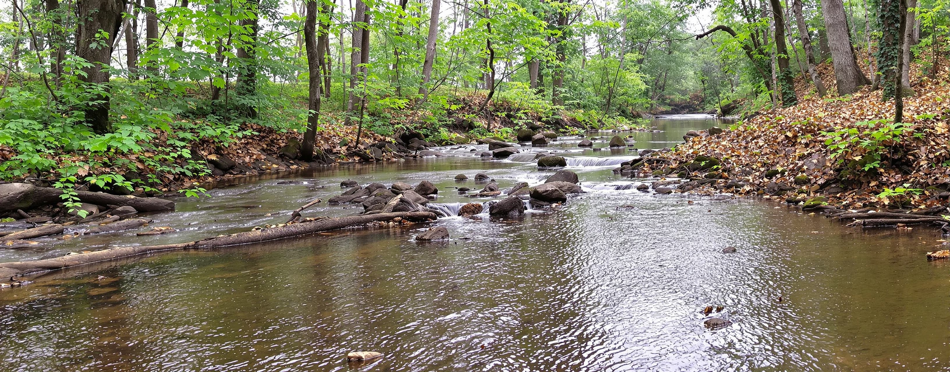 Hydrologic Science Prompt Test.