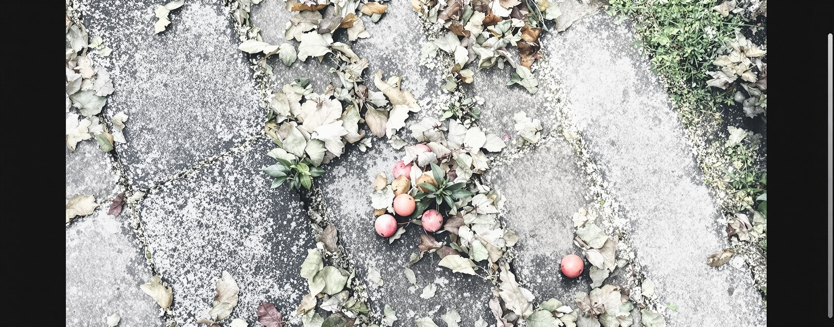 写一段日系青春伤痛文学