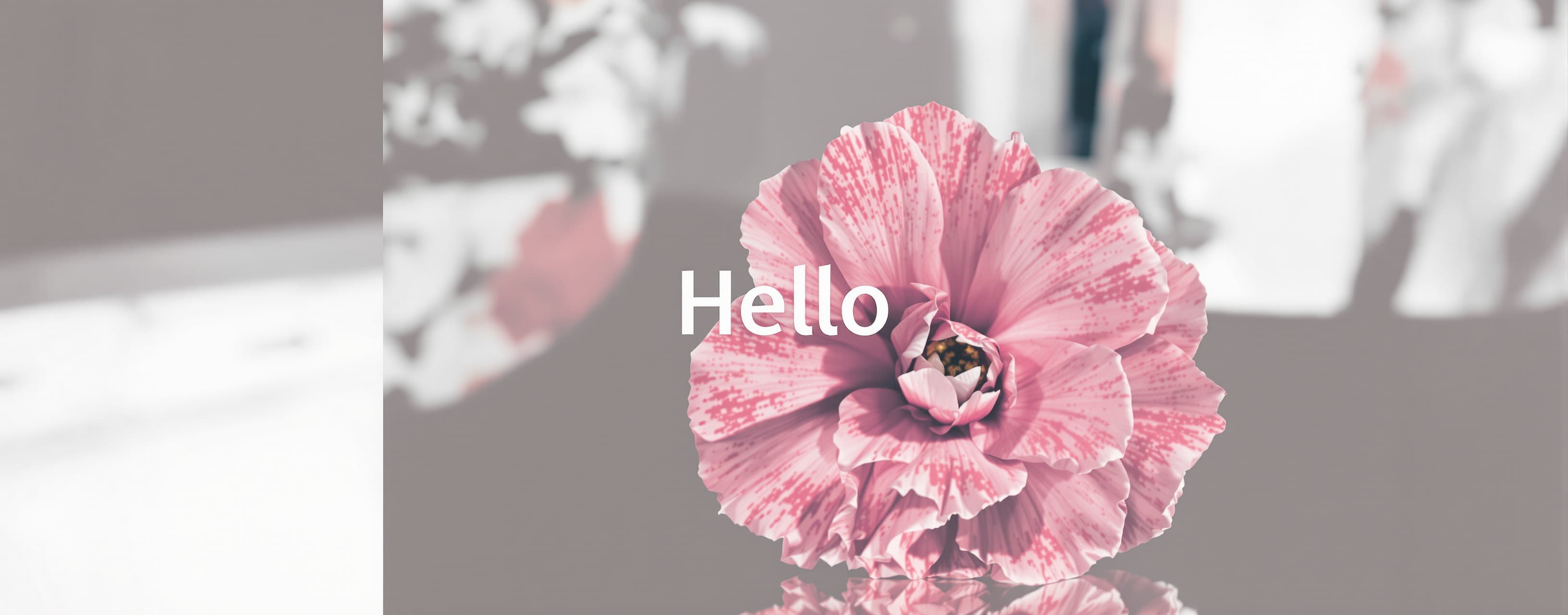 Hello