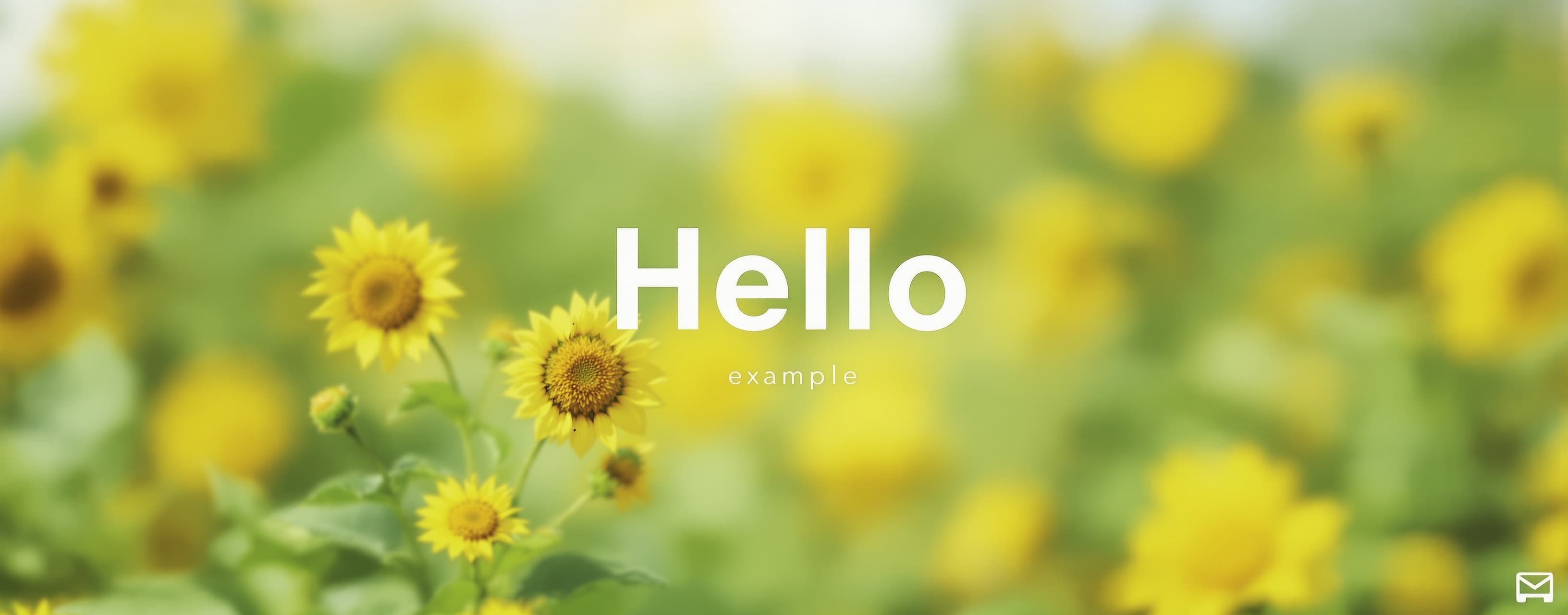 Hello