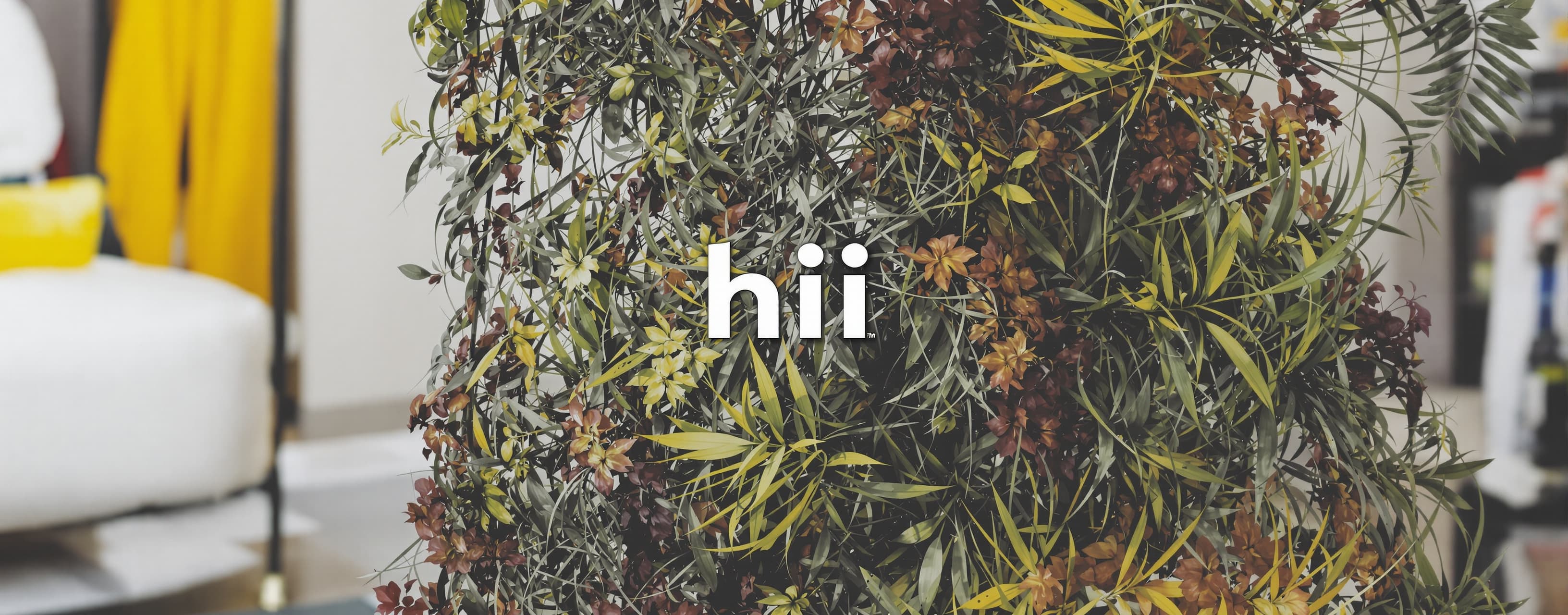 hiii