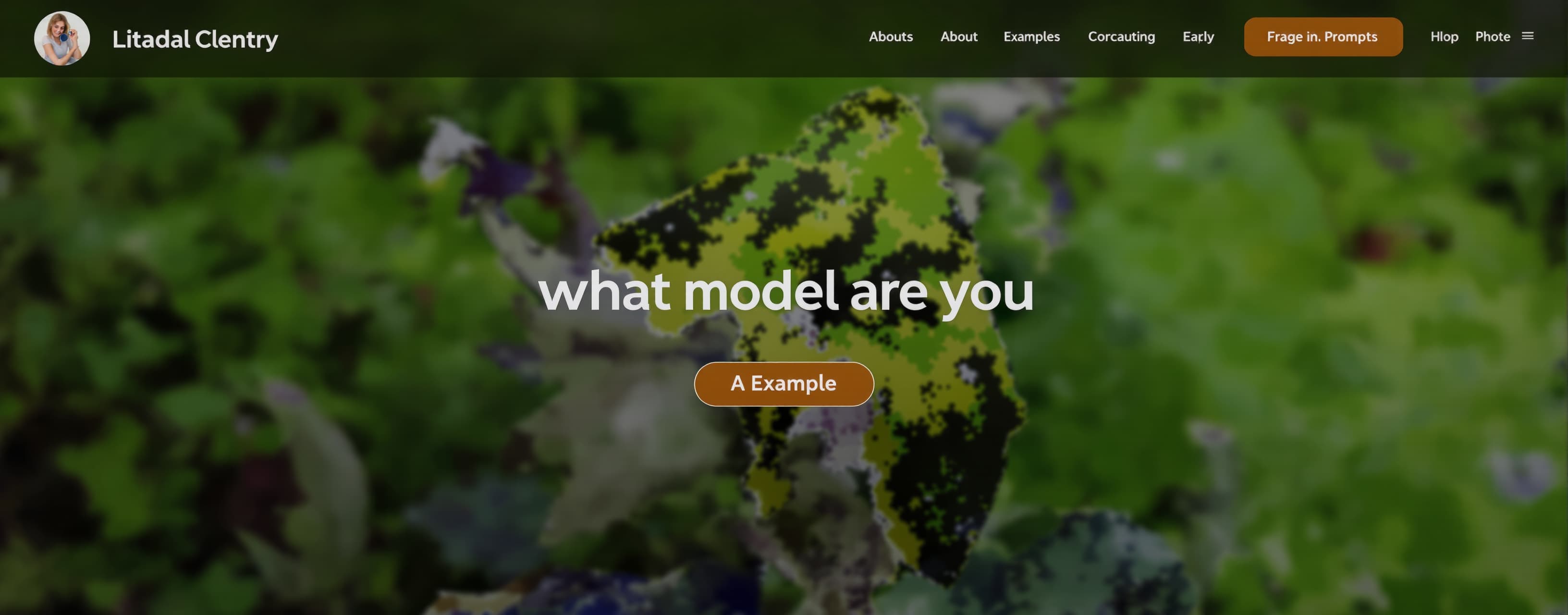 what model are you