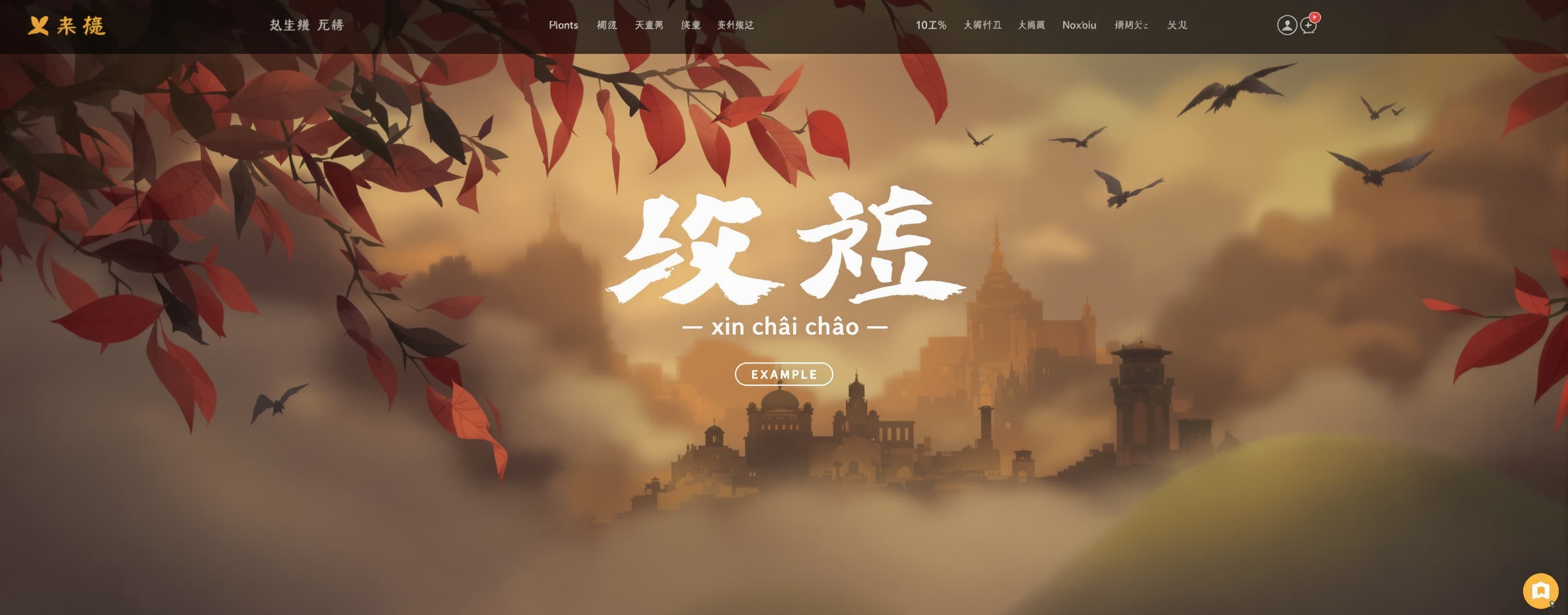 xin chào