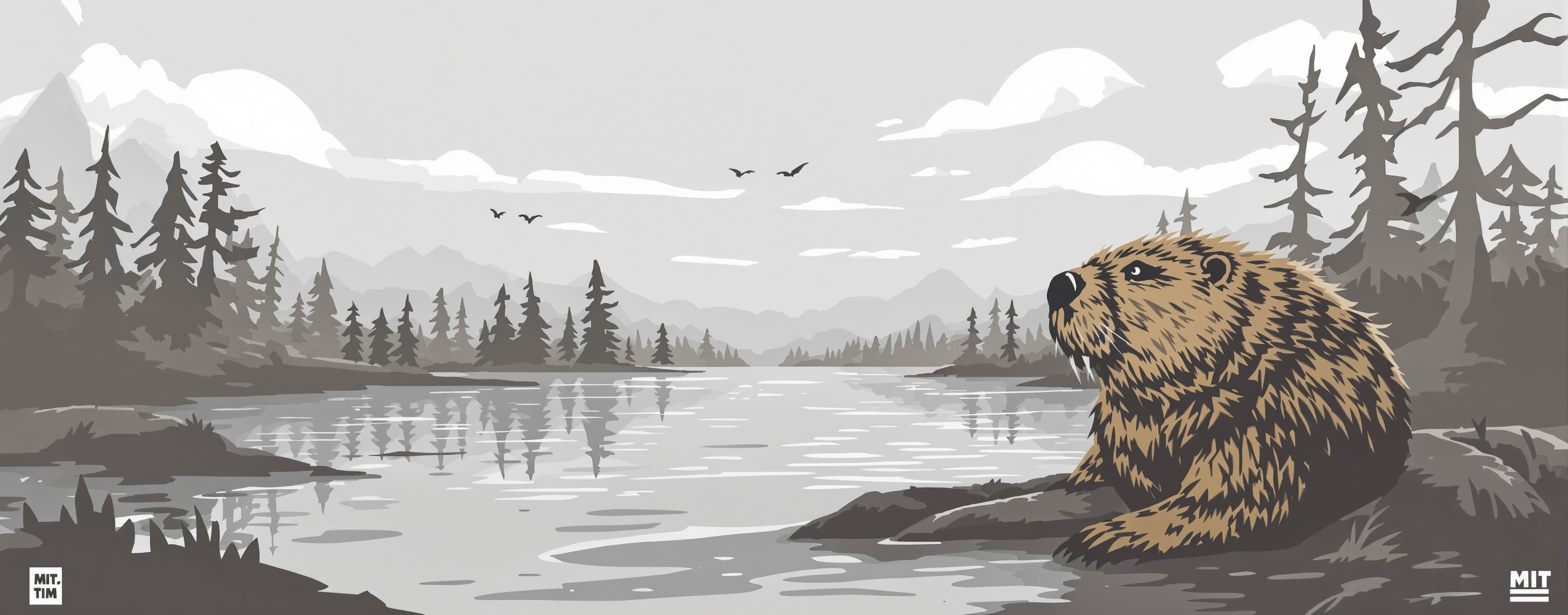 beaver TIM