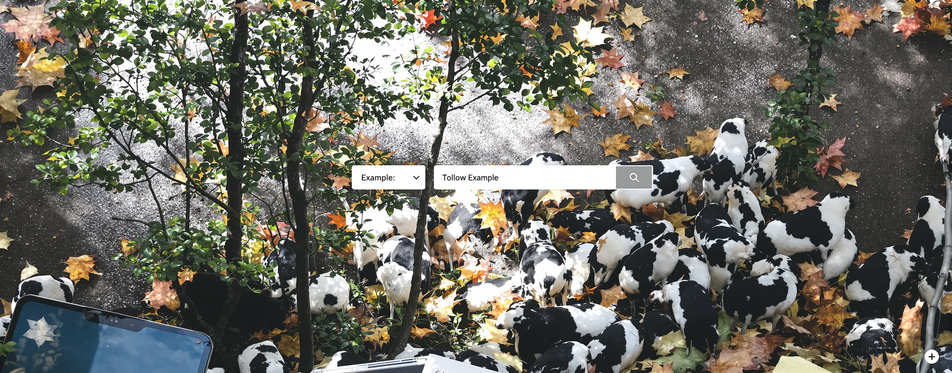 test