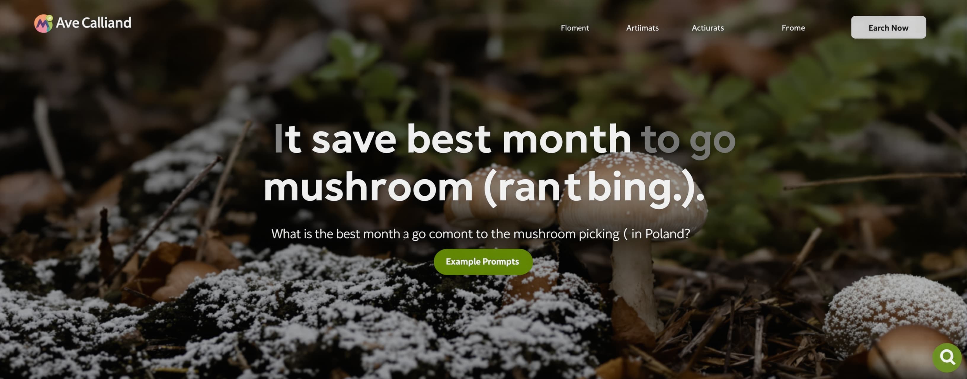 What is the best month to go mushroom picking (in Poland).