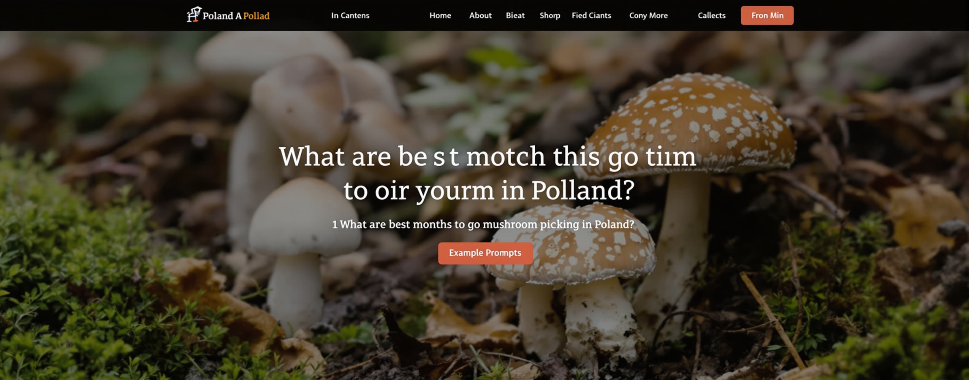 What are best months to go mushroom picking in Poland?