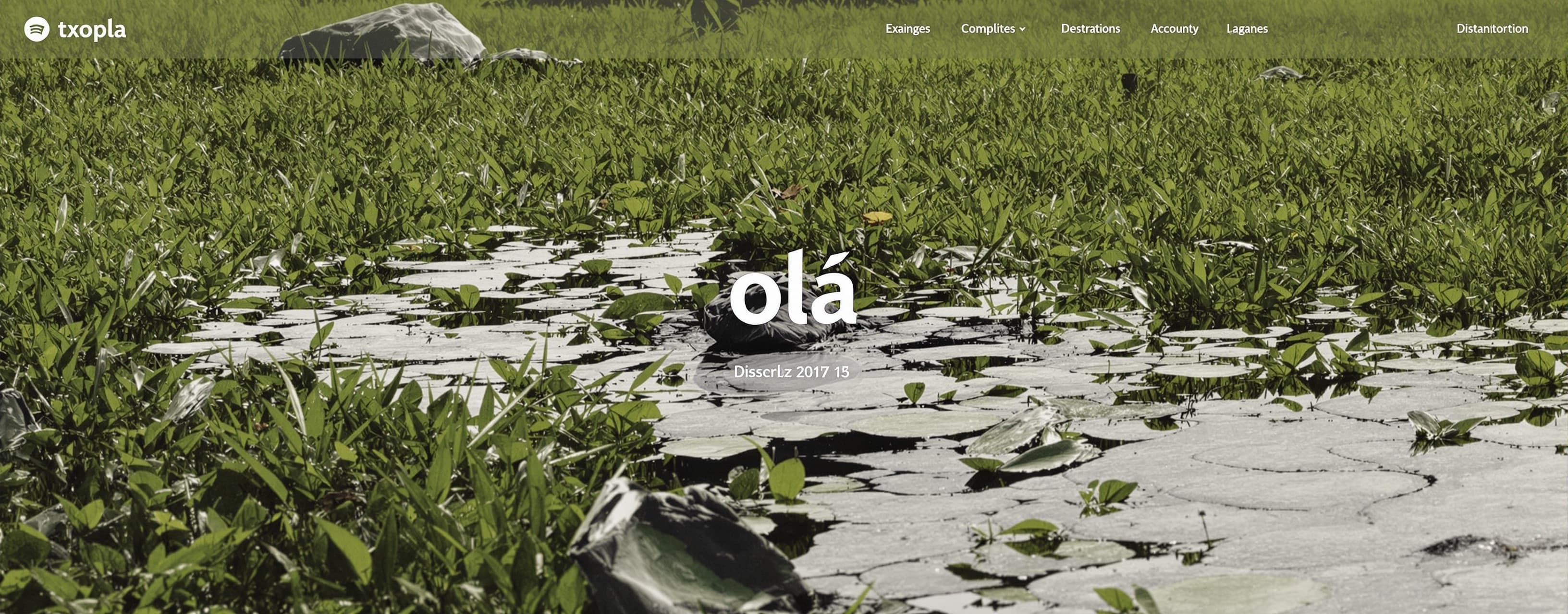 olá