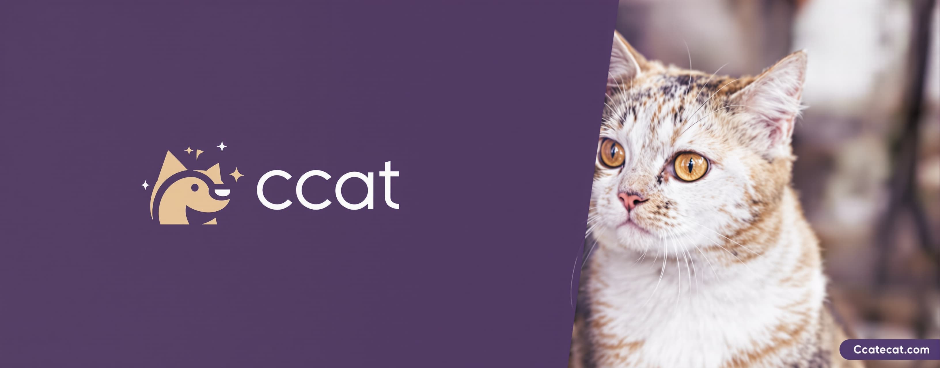 Make a cat logo