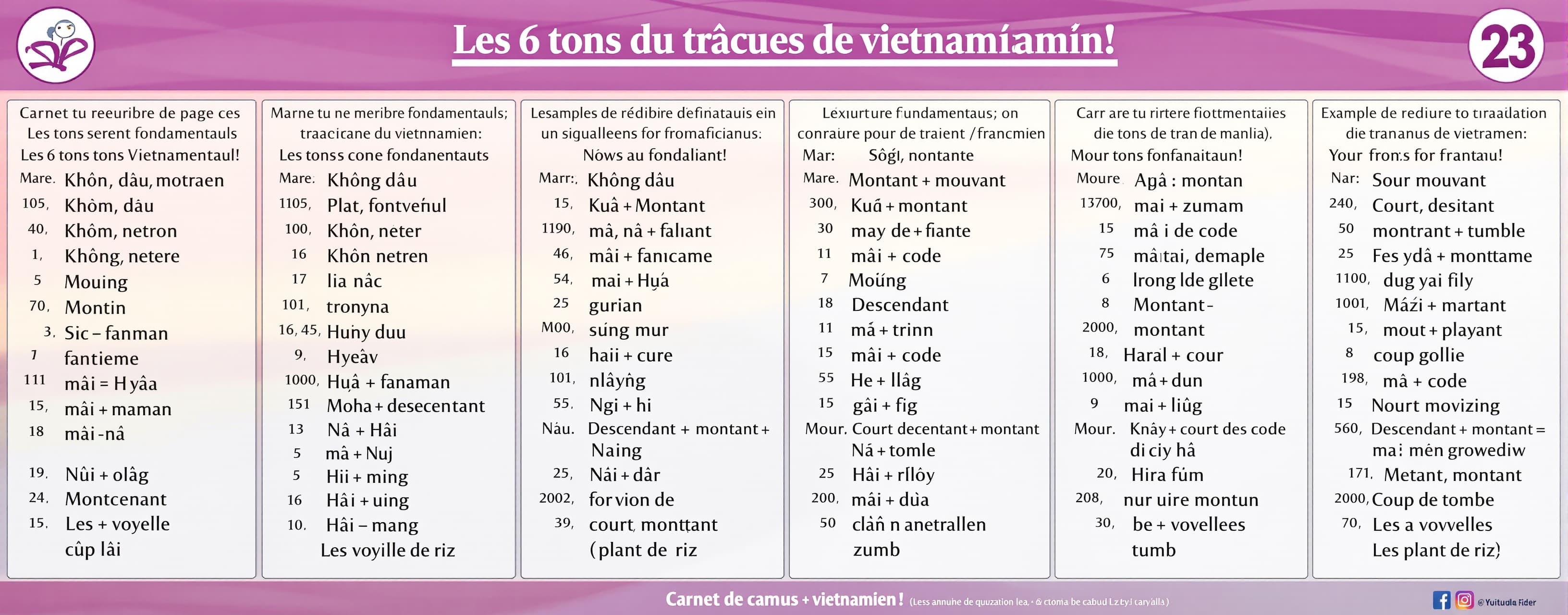 peux tu me réduire à peu de page ce carnet de traduction fra...