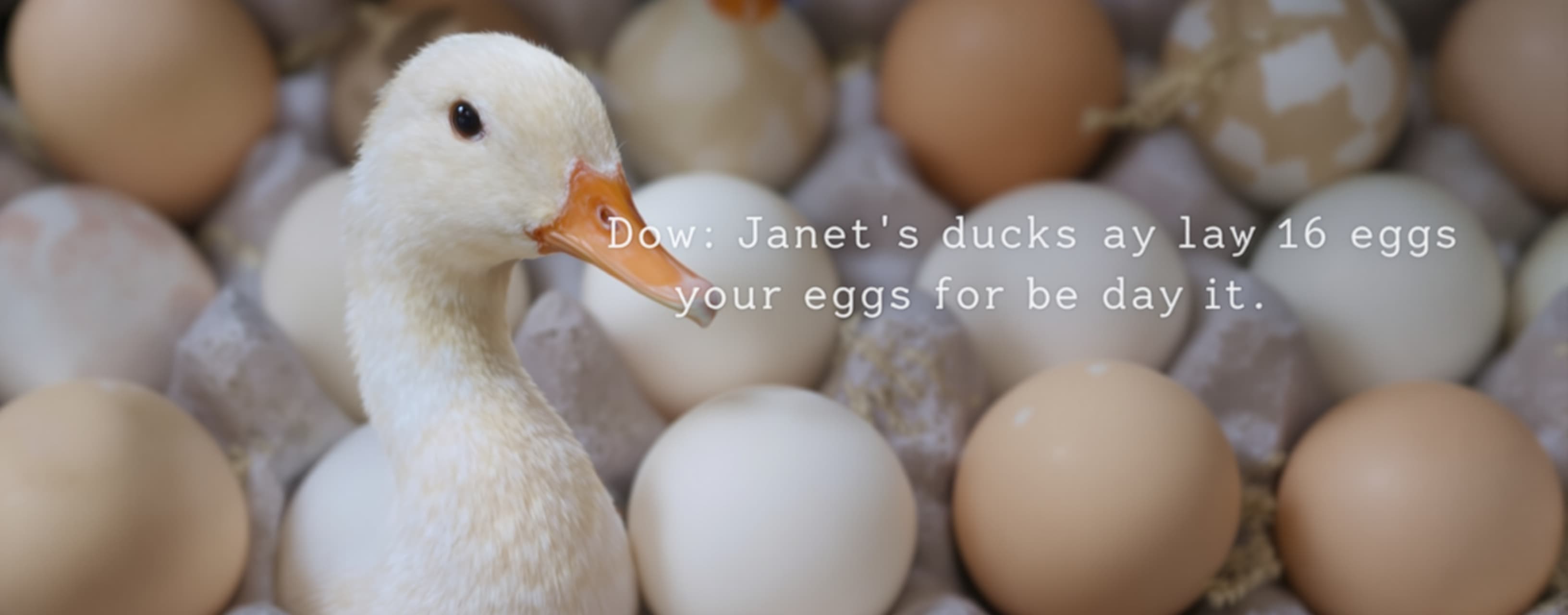 Janet’s ducks lay 16 eggs per day. She eats three for breakf...