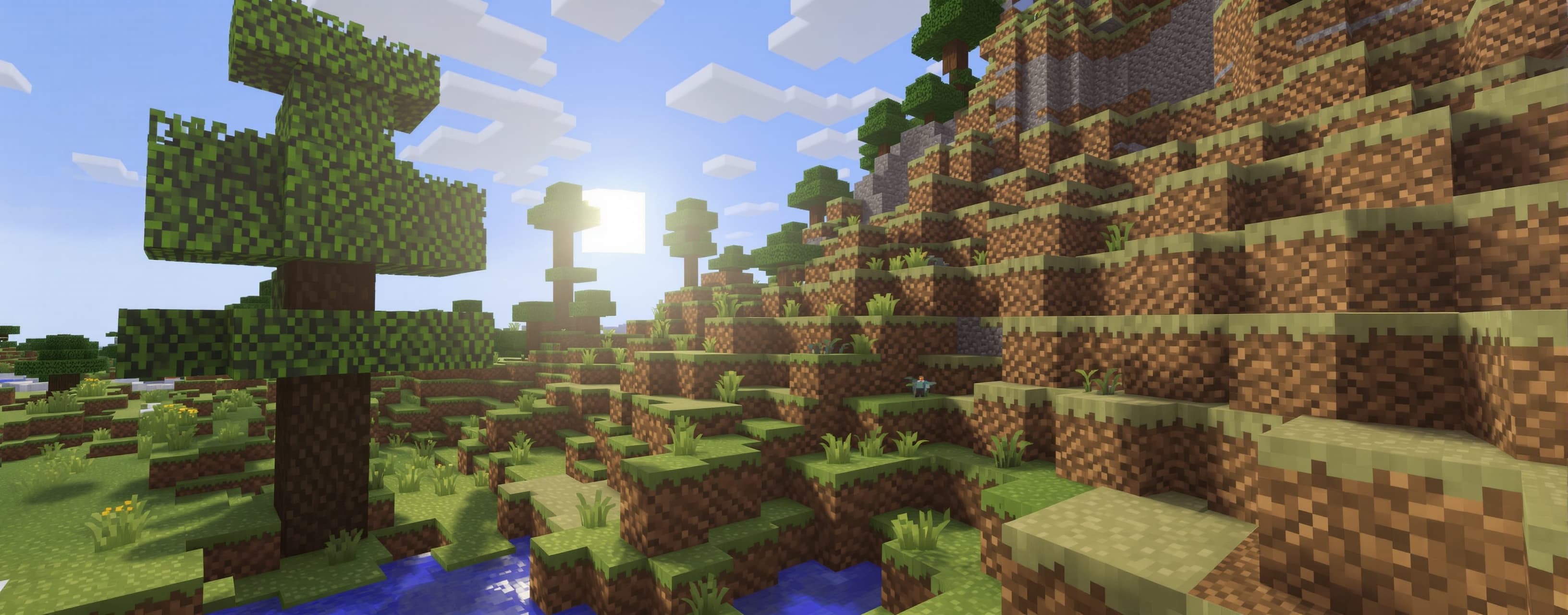 crea minecraft, fallo esattamente come minecraft, procedural...