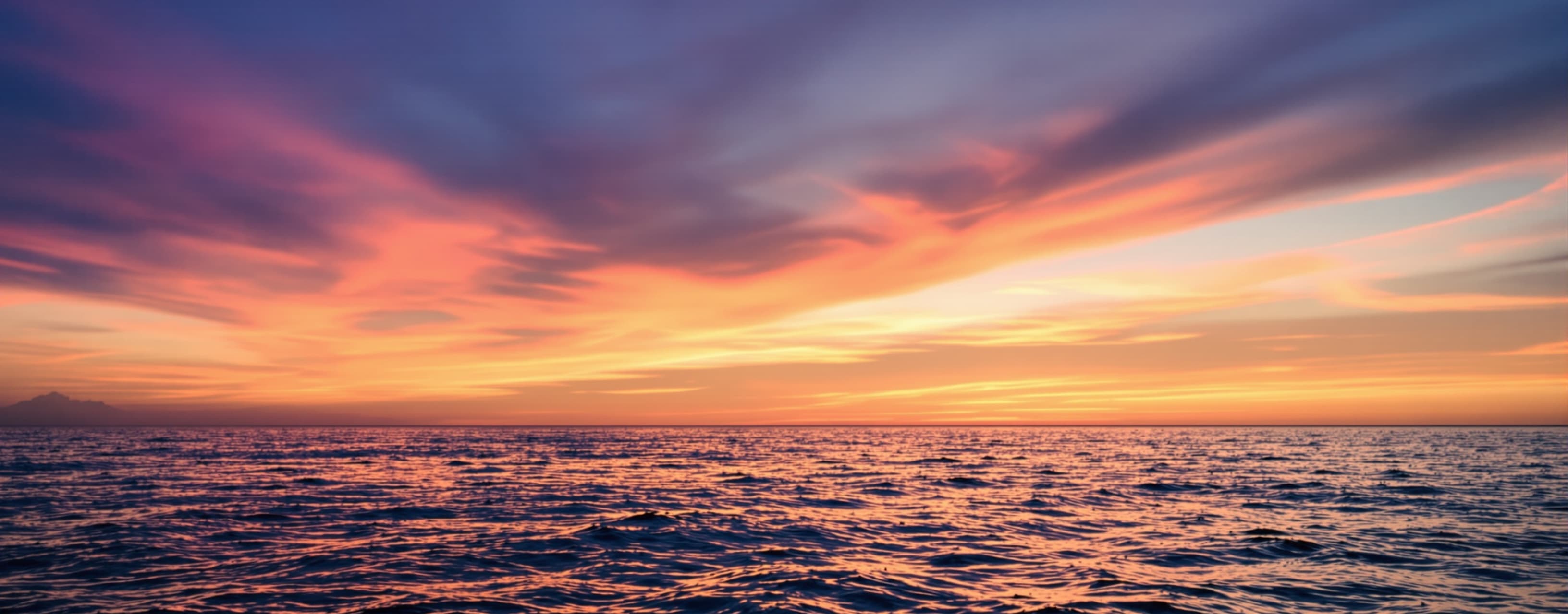 Give me the sea horse emoji