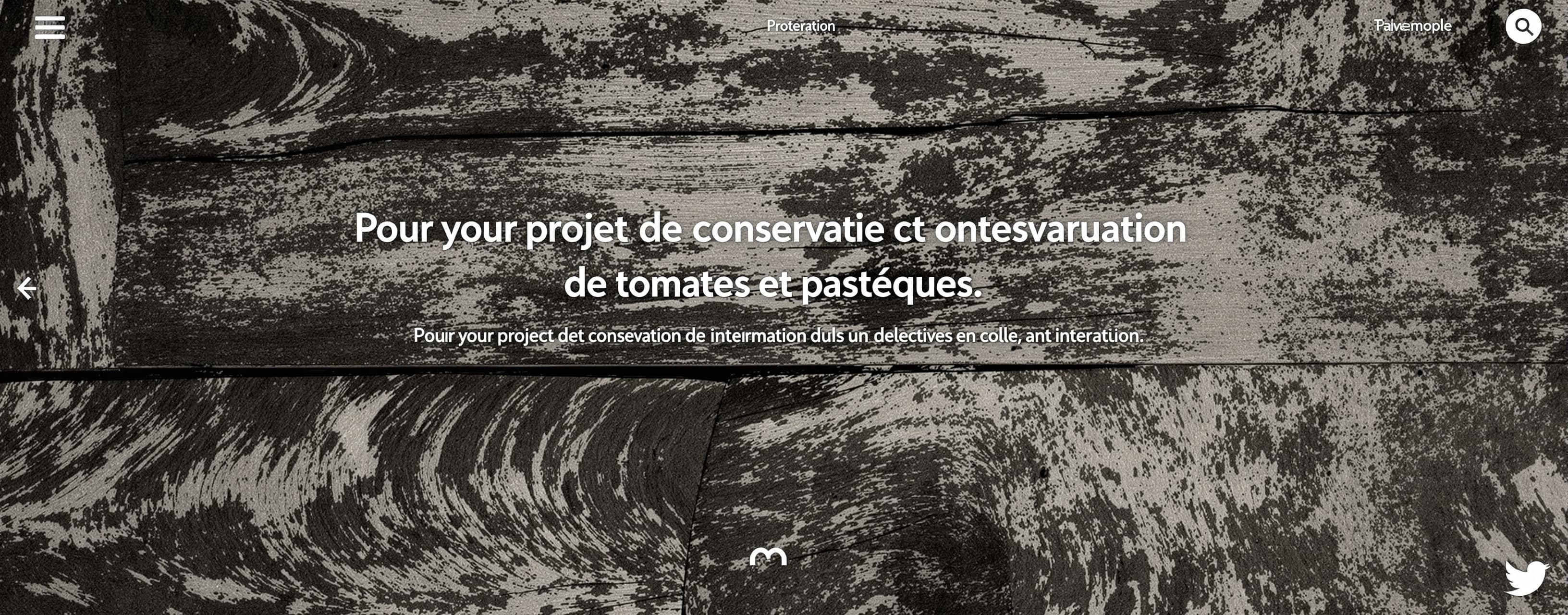 Pour votre projet de conservation et transformation de tomat...