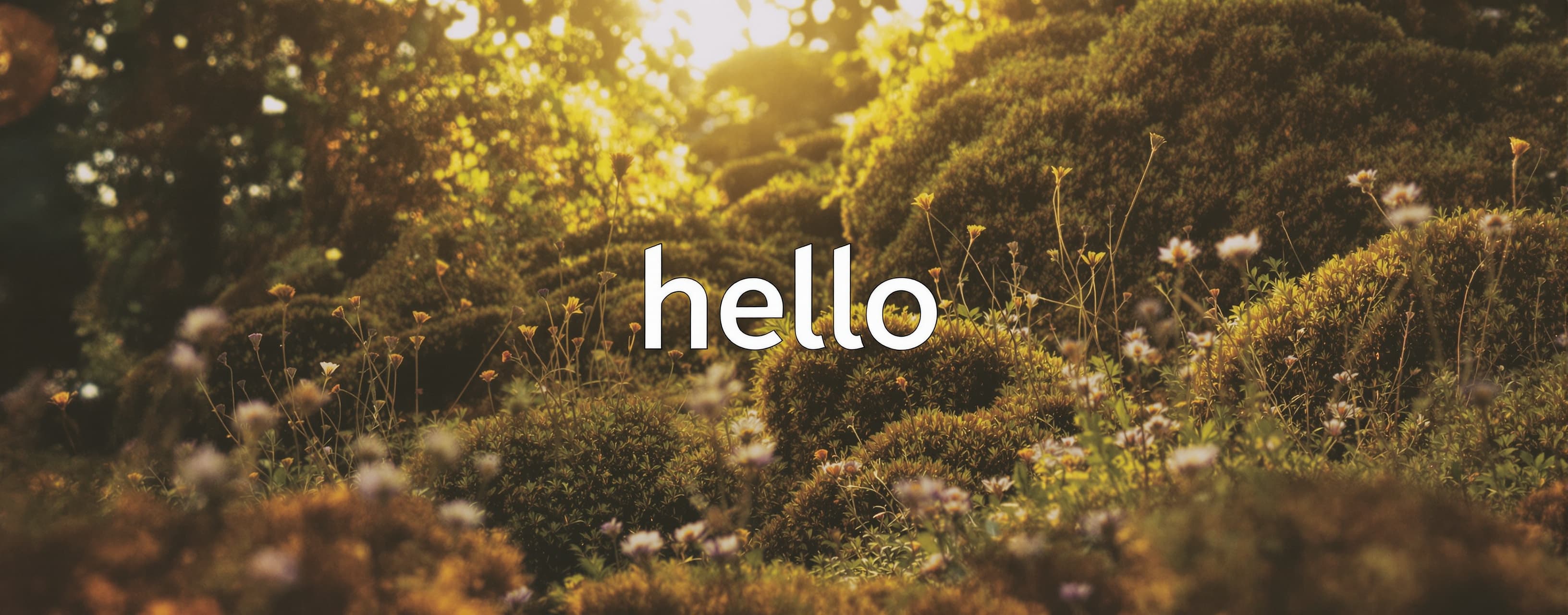 hello
