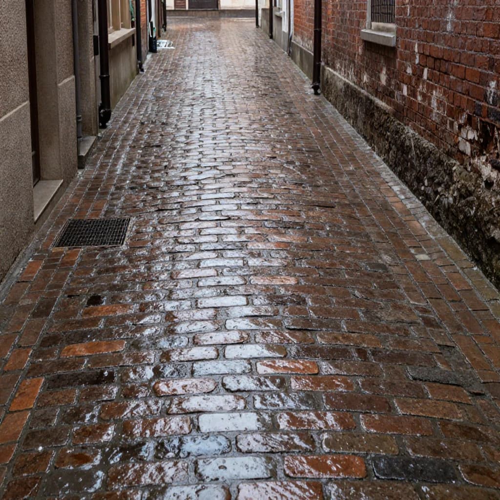 Show a narrow brick alley with wet cobblestones.