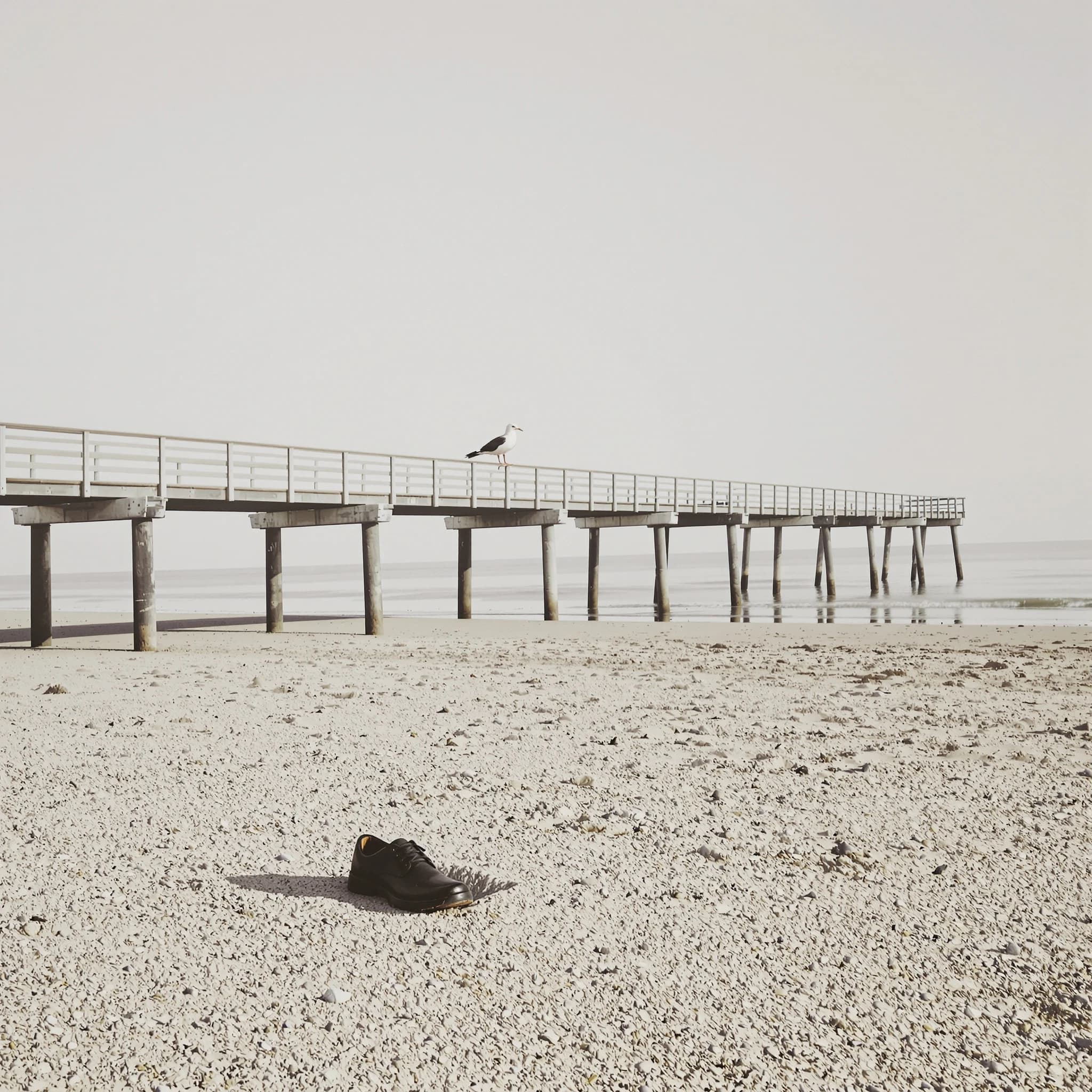The beach is flat, sand beige, granular, no shells, except for a single left shoe, black leather, size eleven, half buried at an angle. The pier extends straight into the water, wood untreated, grain visible, though the support posts vanish before they touch the surface. The sky is uniformly gray, no clouds, yet shadows stretch at sharp diagonals. A single gull sits on the railing, wings outstretched, frozen mid-flap, no movement.