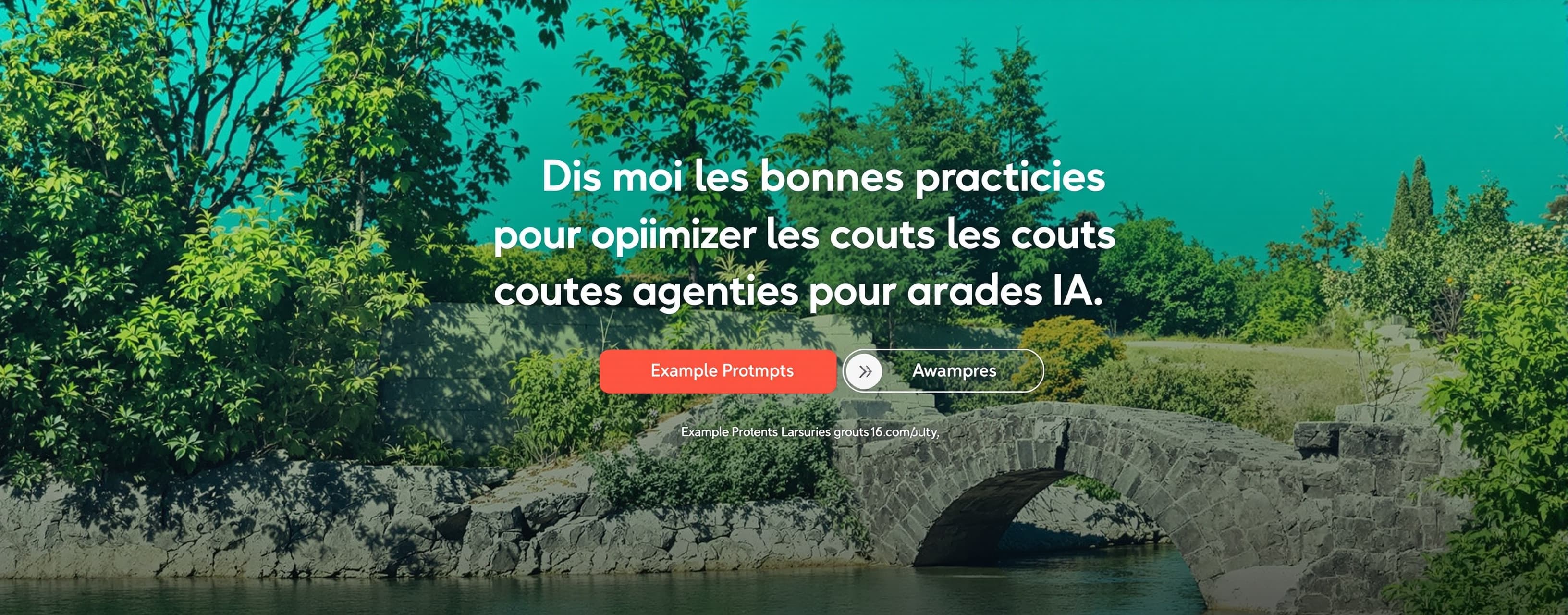Dis moi les bonnes pratiques pour optimiser les couts des ag...
