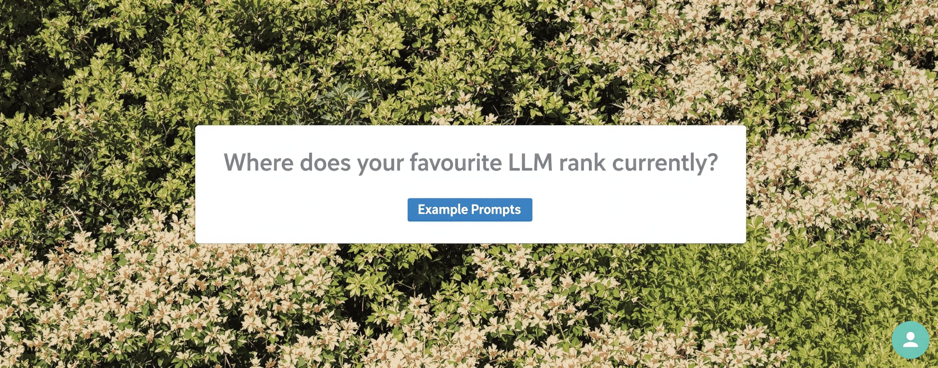 Where does your favourite LLM rank currently?