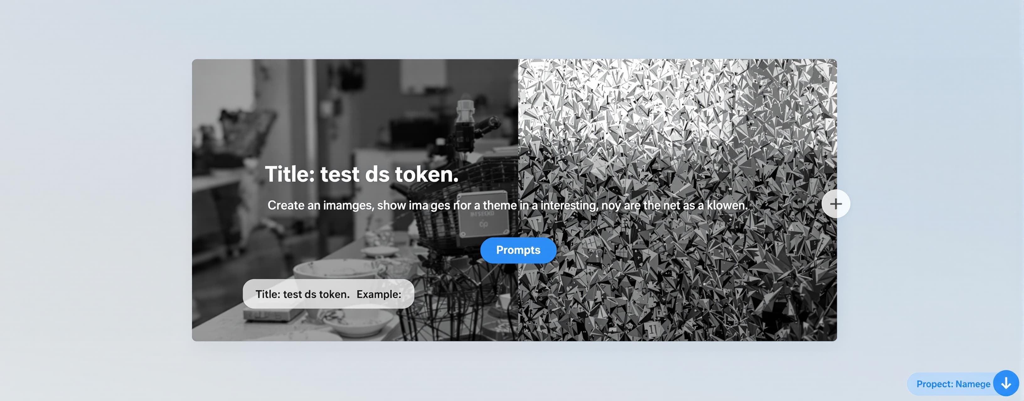 test ds token