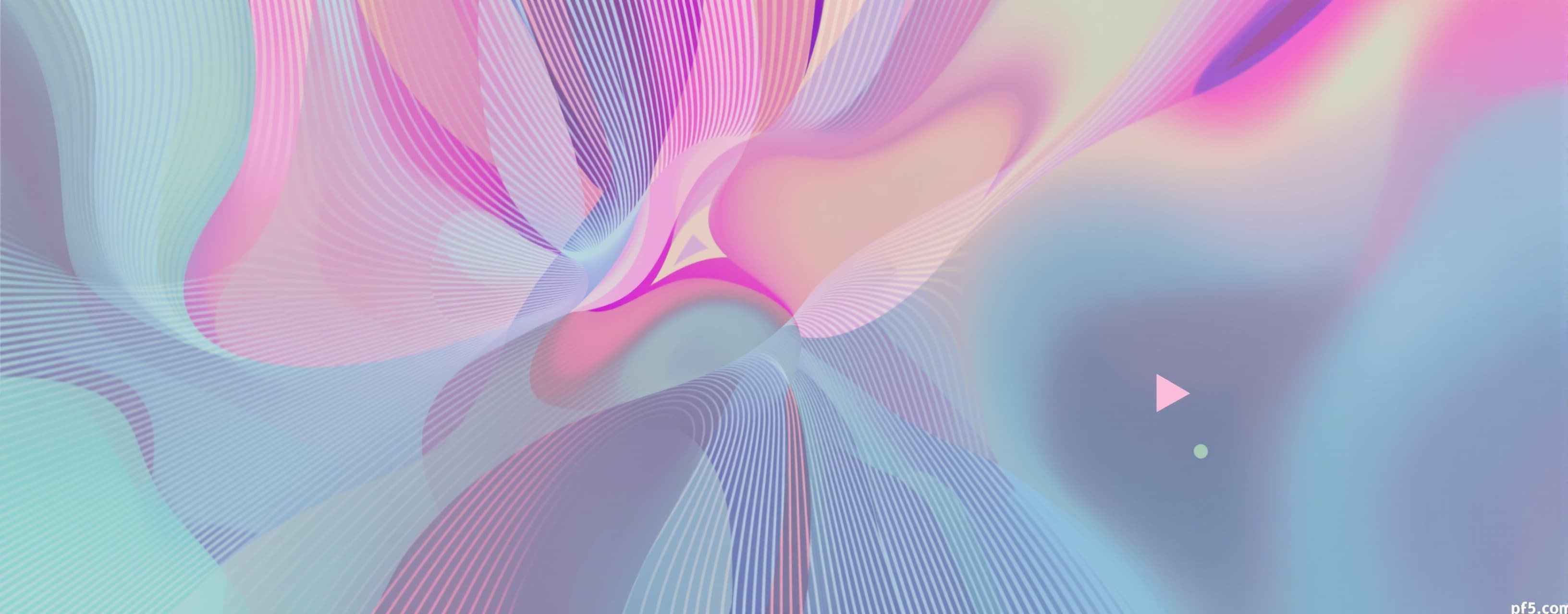 p5.js animation
