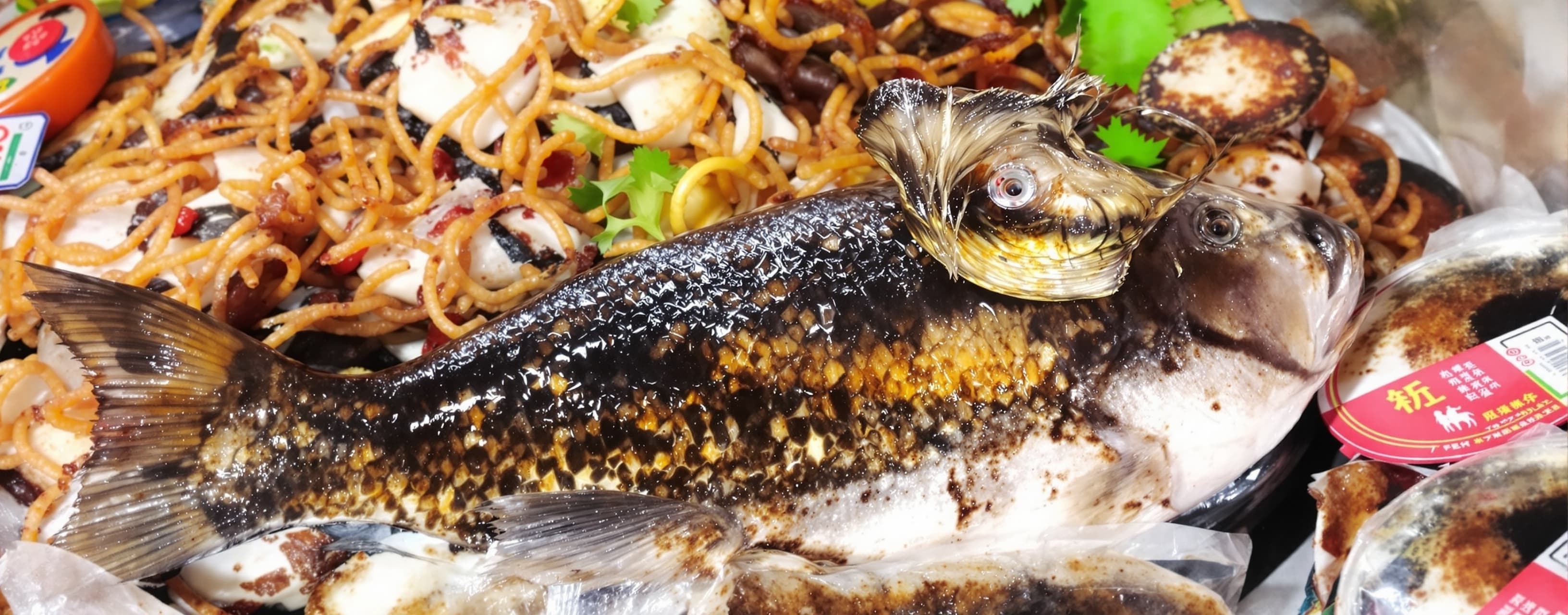 buat gambar lagi ikan nemo lagi di kejar hiu martil