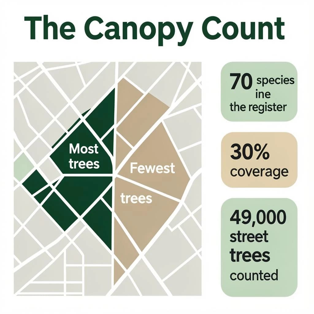 Flat infographic titled "The Canopy Count": at the center a simplified street map with shaded districts, carrying two keyed regions, "Most trees" shaded dark green and "Fewest trees" shaded tan, beside a right column of three stat chips reading "70 species in the register", "30% shade coverage" and "49,000 street trees counted".