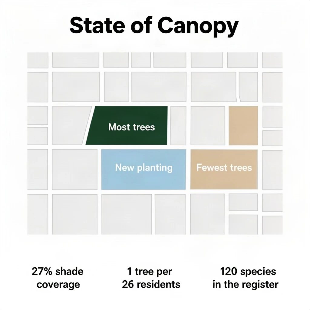 Flat infographic titled "State of Canopy". A simplified street map with shaded districts sits at the center, carrying three keyed regions, "Most trees" shaded dark green, "New planting" shaded light blue and "Fewest trees" shaded tan. Three stat chips run down a bottom row, reading "27% shade coverage", "1 tree per 26 residents" and "120 species in the register". Each key color matches the shading of the region it names.