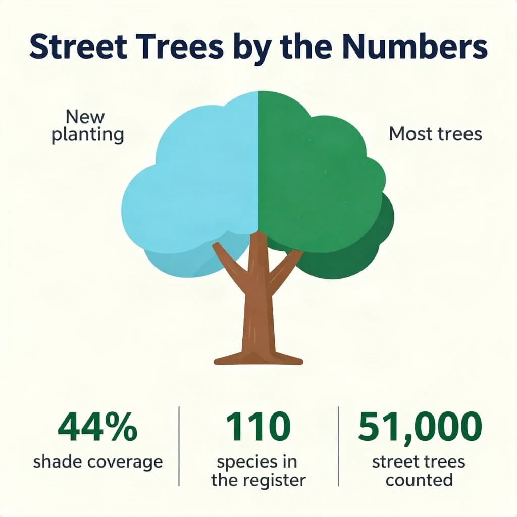 Flat infographic titled "Street Trees by the Numbers": at the center a labeled street-tree diagram, carrying two keyed regions, "New planting" shaded light blue and "Most trees" shaded dark green, beside a bottom row of three stat chips reading "44% shade coverage", "110 species in the register" and "51,000 street trees counted".