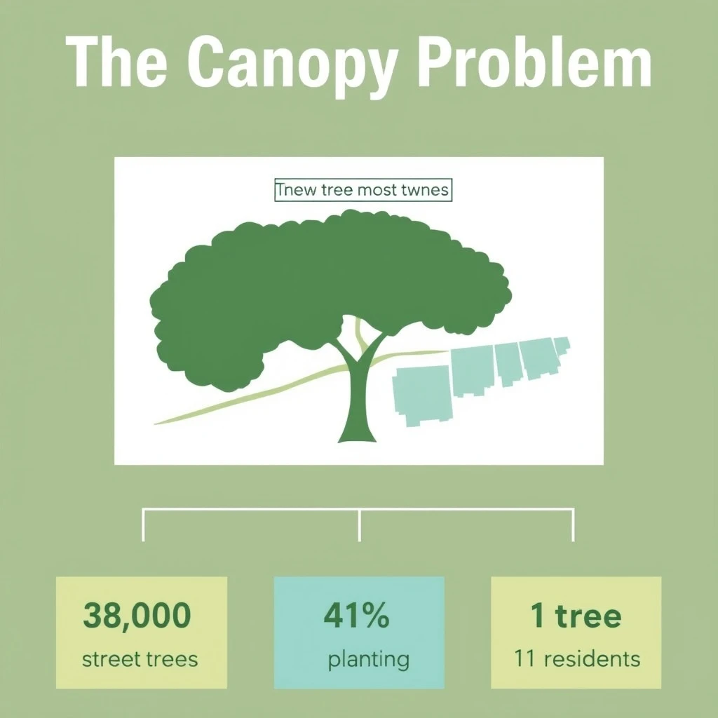 Printed poster titled "The Canopy Problem". A labeled street-tree diagram sits at the center, carrying two keyed regions, "Most trees" shaded dark green and "New planting" shaded light blue. Three stat chips run down a bottom row, reading "38,000 street trees counted", "41% shade coverage" and "1 tree per 11 residents". Each key color matches the shading of the region it names.