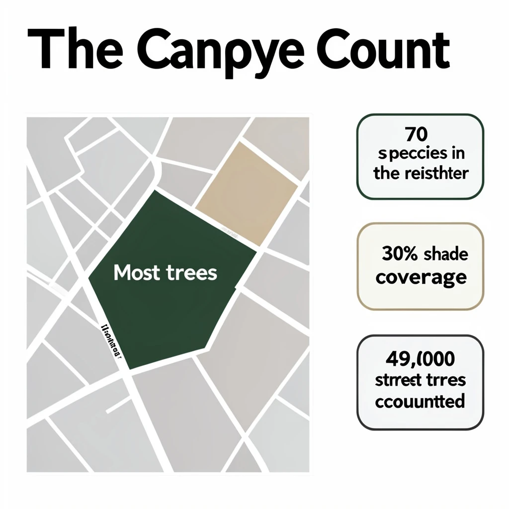 Flat infographic titled "The Canopy Count": at the center a simplified street map with shaded districts, carrying two keyed regions, "Most trees" shaded dark green and "Fewest trees" shaded tan, beside a right column of three stat chips reading "70 species in the register", "30% shade coverage" and "49,000 street trees counted".