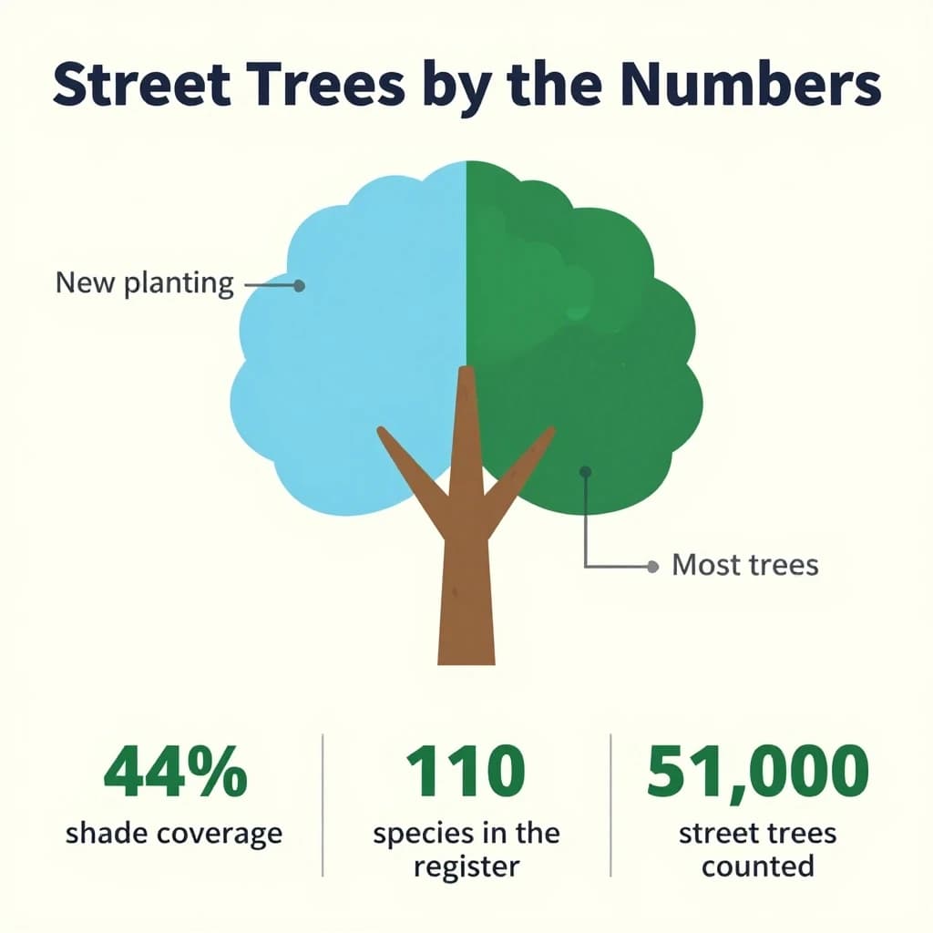 Flat infographic titled "Street Trees by the Numbers": at the center a labeled street-tree diagram, carrying two keyed regions, "New planting" shaded light blue and "Most trees" shaded dark green, beside a bottom row of three stat chips reading "44% shade coverage", "110 species in the register" and "51,000 street trees counted".