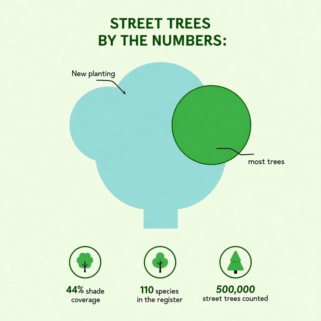 Flat infographic titled "Street Trees by the Numbers": at the center a labeled street-tree diagram, carrying two keyed regions, "New planting" shaded light blue and "Most trees" shaded dark green, beside a bottom row of three stat chips reading "44% shade coverage", "110 species in the register" and "51,000 street trees counted".