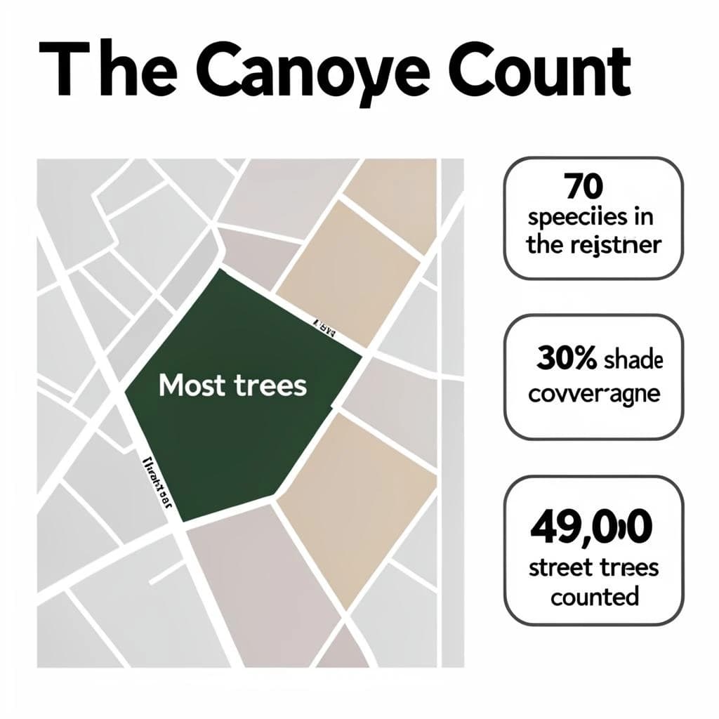 Flat infographic titled "The Canopy Count": at the center a simplified street map with shaded districts, carrying two keyed regions, "Most trees" shaded dark green and "Fewest trees" shaded tan, beside a right column of three stat chips reading "70 species in the register", "30% shade coverage" and "49,000 street trees counted".