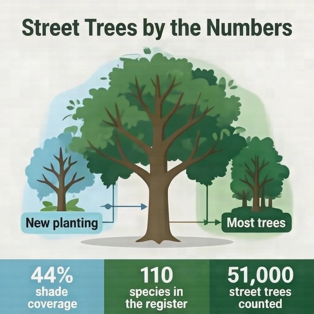 Flat infographic titled "Street Trees by the Numbers": at the center a labeled street-tree diagram, carrying two keyed regions, "New planting" shaded light blue and "Most trees" shaded dark green, beside a bottom row of three stat chips reading "44% shade coverage", "110 species in the register" and "51,000 street trees counted".