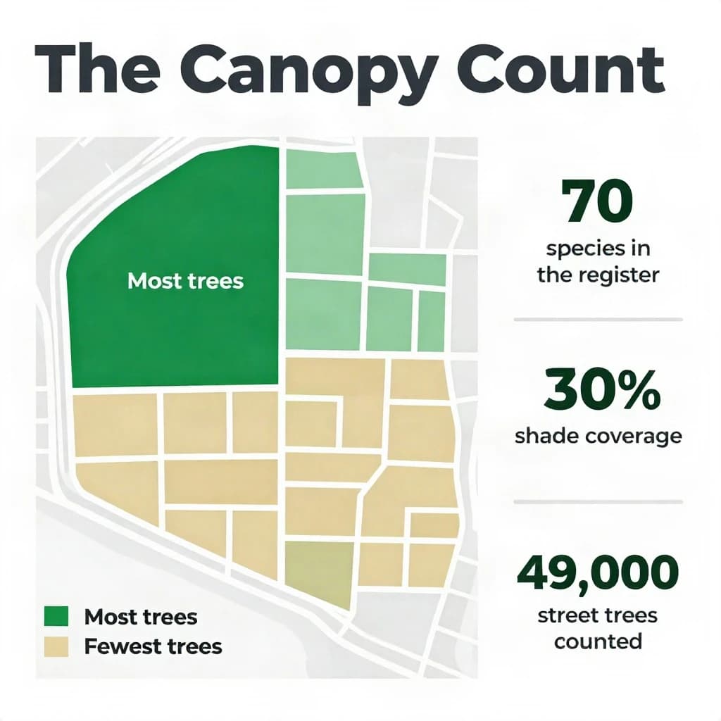 Flat infographic titled "The Canopy Count": at the center a simplified street map with shaded districts, carrying two keyed regions, "Most trees" shaded dark green and "Fewest trees" shaded tan, beside a right column of three stat chips reading "70 species in the register", "30% shade coverage" and "49,000 street trees counted".