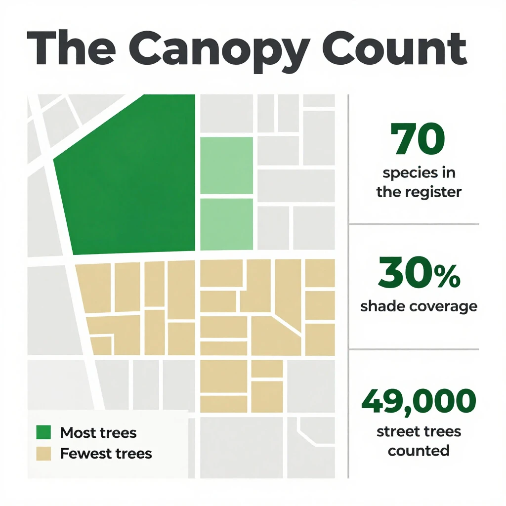 Flat infographic titled "The Canopy Count": at the center a simplified street map with shaded districts, carrying two keyed regions, "Most trees" shaded dark green and "Fewest trees" shaded tan, beside a right column of three stat chips reading "70 species in the register", "30% shade coverage" and "49,000 street trees counted".