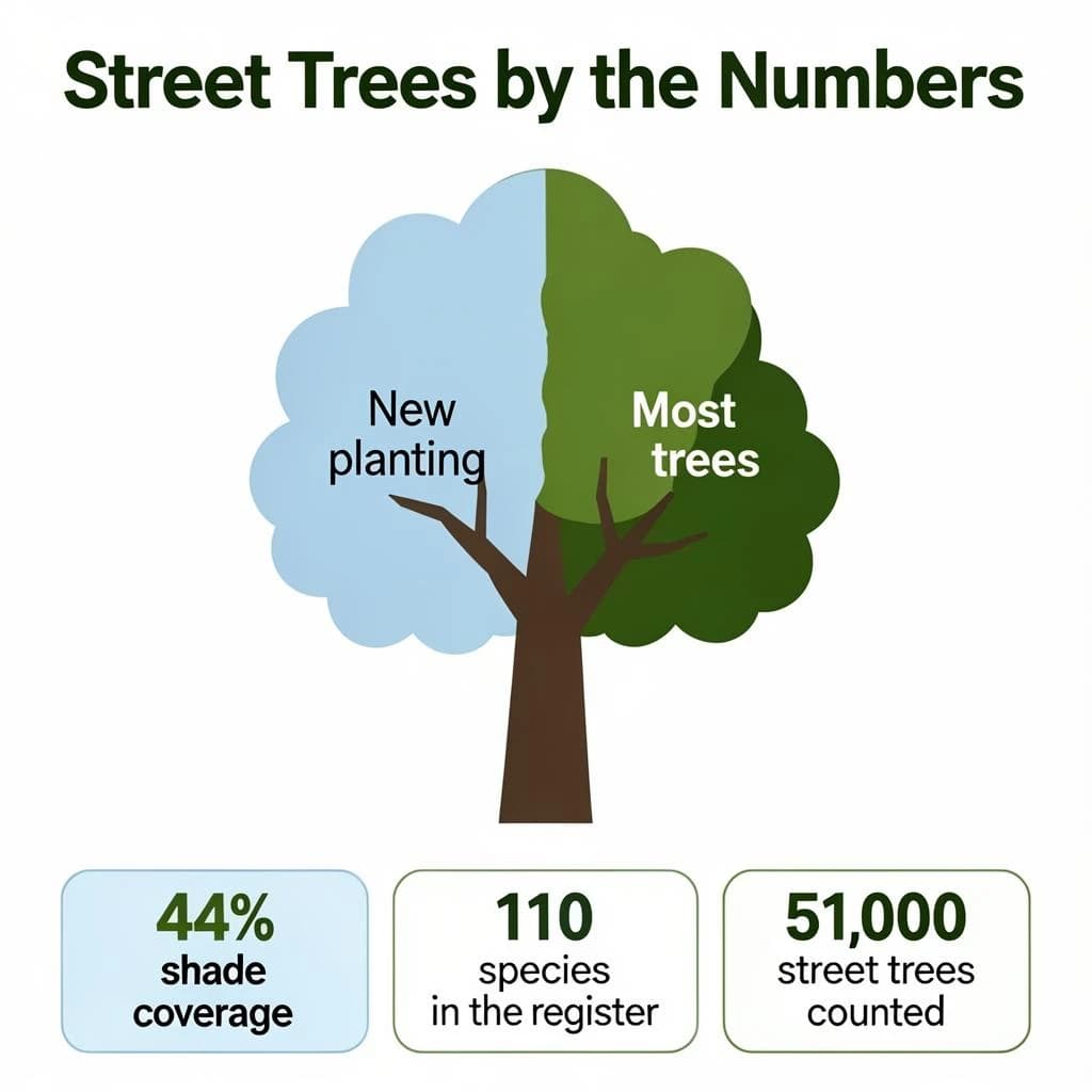 Flat infographic titled "Street Trees by the Numbers": at the center a labeled street-tree diagram, carrying two keyed regions, "New planting" shaded light blue and "Most trees" shaded dark green, beside a bottom row of three stat chips reading "44% shade coverage", "110 species in the register" and "51,000 street trees counted".