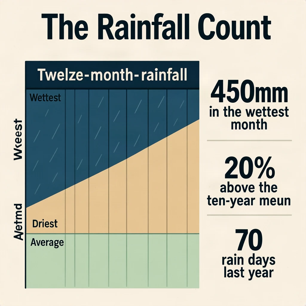 Printed poster titled "The Rainfall Count": at the center a twelve-month rainfall timeline, carrying three keyed regions, "Wettest" shaded dark blue, "Driest" shaded sand and "Average" shaded pale green, beside a right column of three stat chips reading "450mm in the wettest month", "20% above the ten-year mean" and "70 rain days last year".