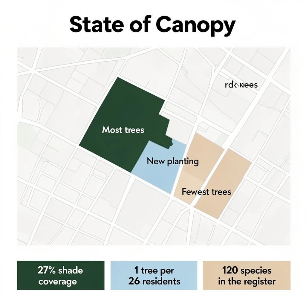 Flat infographic titled "State of Canopy". A simplified street map with shaded districts sits at the center, carrying three keyed regions, "Most trees" shaded dark green, "New planting" shaded light blue and "Fewest trees" shaded tan. Three stat chips run down a bottom row, reading "27% shade coverage", "1 tree per 26 residents" and "120 species in the register". Each key color matches the shading of the region it names.