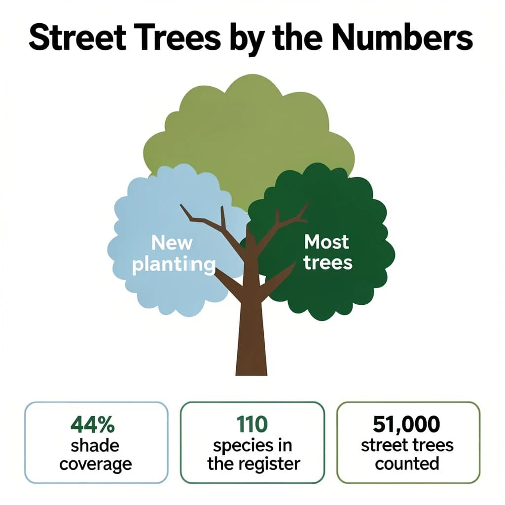 Flat infographic titled "Street Trees by the Numbers": at the center a labeled street-tree diagram, carrying two keyed regions, "New planting" shaded light blue and "Most trees" shaded dark green, beside a bottom row of three stat chips reading "44% shade coverage", "110 species in the register" and "51,000 street trees counted".