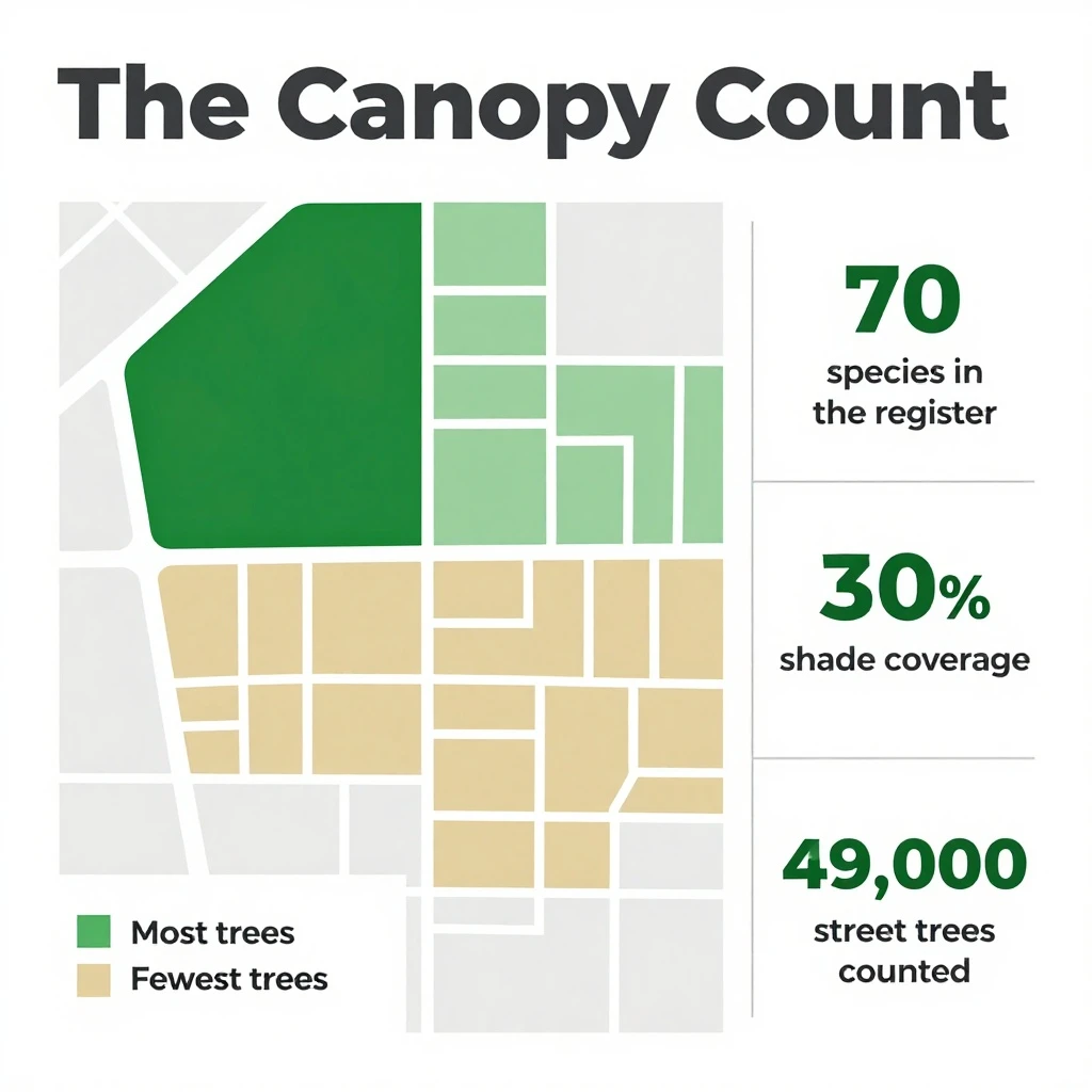 Flat infographic titled "The Canopy Count": at the center a simplified street map with shaded districts, carrying two keyed regions, "Most trees" shaded dark green and "Fewest trees" shaded tan, beside a right column of three stat chips reading "70 species in the register", "30% shade coverage" and "49,000 street trees counted".