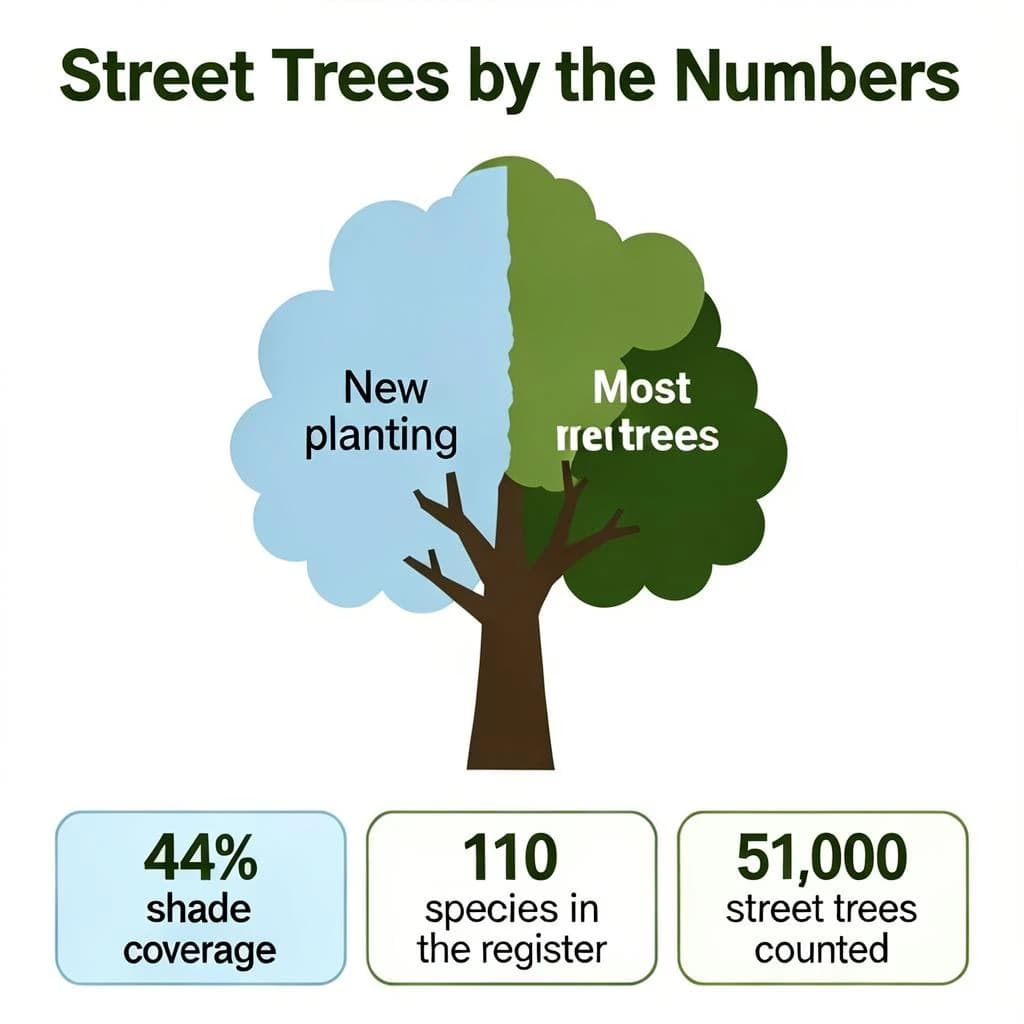 Flat infographic titled "Street Trees by the Numbers": at the center a labeled street-tree diagram, carrying two keyed regions, "New planting" shaded light blue and "Most trees" shaded dark green, beside a bottom row of three stat chips reading "44% shade coverage", "110 species in the register" and "51,000 street trees counted".