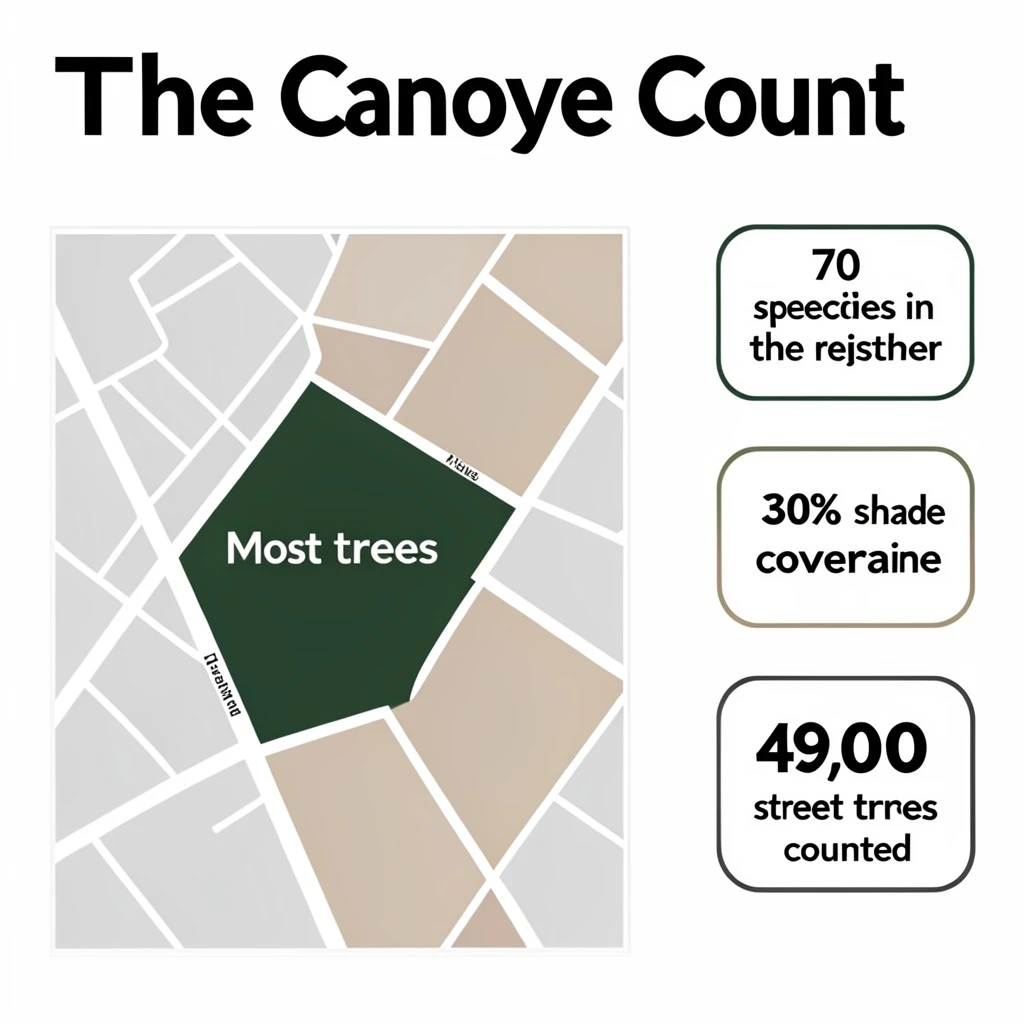 Flat infographic titled "The Canopy Count": at the center a simplified street map with shaded districts, carrying two keyed regions, "Most trees" shaded dark green and "Fewest trees" shaded tan, beside a right column of three stat chips reading "70 species in the register", "30% shade coverage" and "49,000 street trees counted".