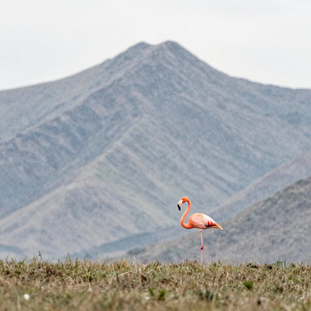 flamingo, mountain ridge, light rain, off-center framing with negative space, watercolor, soft edges
